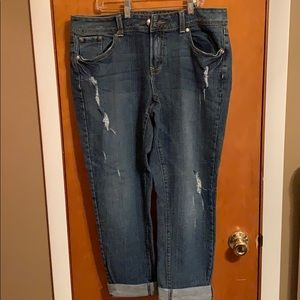 Lane Bryant Distressed Capris